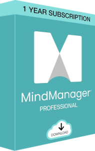 MindManager Professional 3D boxshot
